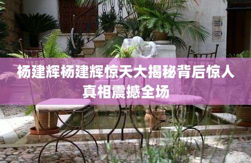 杨建辉杨建辉惊天大揭秘背后惊人真相震撼全场