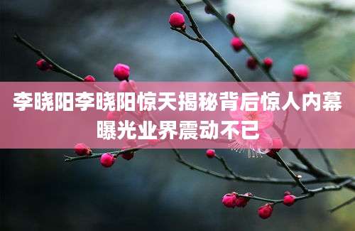 李晓阳李晓阳惊天揭秘背后惊人内幕曝光业界震动不已