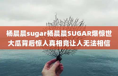 杨晨晨sugar杨晨晨SUGAR爆惊世大瓜背后惊人真相竟让人无法相信