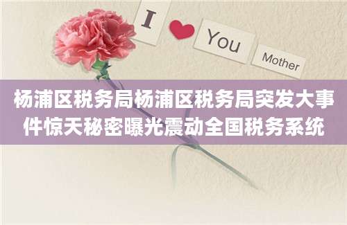 杨浦区税务局杨浦区税务局突发大事件惊天秘密曝光震动全国税务系统