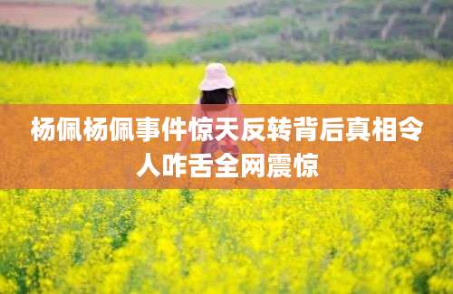 杨佩杨佩事件惊天反转背后真相令人咋舌全网震惊