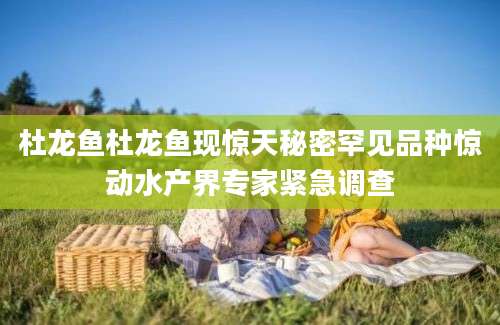 杜龙鱼杜龙鱼现惊天秘密罕见品种惊动水产界专家紧急调查