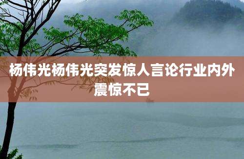 杨伟光杨伟光突发惊人言论行业内外震惊不已