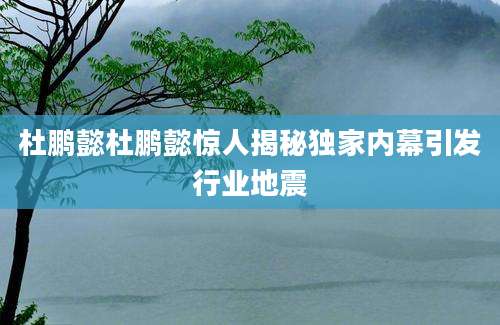 杜鹏懿杜鹏懿惊人揭秘独家内幕引发行业地震