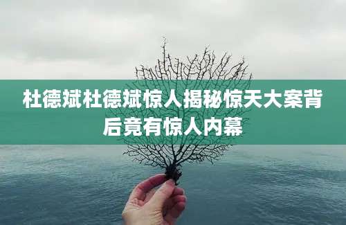 杜德斌杜德斌惊人揭秘惊天大案背后竟有惊人内幕