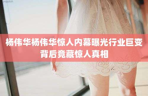 杨伟华杨伟华惊人内幕曝光行业巨变背后竟藏惊人真相