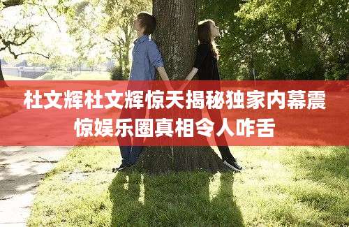 杜文辉杜文辉惊天揭秘独家内幕震惊娱乐圈真相令人咋舌