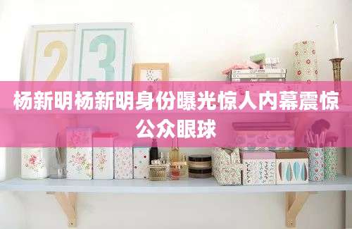 杨新明杨新明身份曝光惊人内幕震惊公众眼球