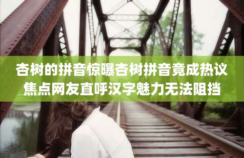 杏树的拼音惊曝杏树拼音竟成热议焦点网友直呼汉字魅力无法阻挡