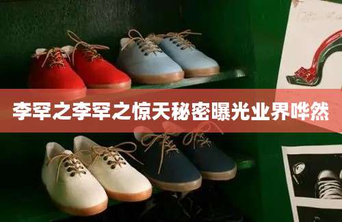 李罕之李罕之惊天秘密曝光业界哗然