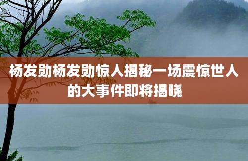 杨发勋杨发勋惊人揭秘一场震惊世人的大事件即将揭晓