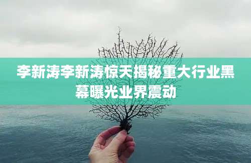 李新涛李新涛惊天揭秘重大行业黑幕曝光业界震动