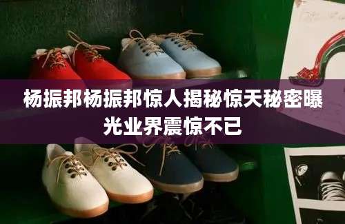 杨振邦杨振邦惊人揭秘惊天秘密曝光业界震惊不已