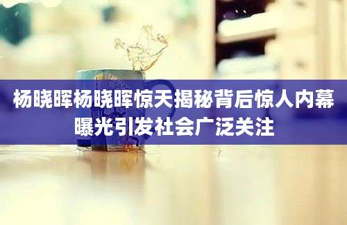 杨晓晖杨晓晖惊天揭秘背后惊人内幕曝光引发社会广泛关注