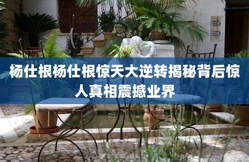 杨仕根杨仕根惊天大逆转揭秘背后惊人真相震撼业界