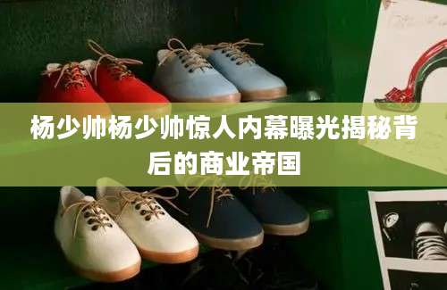 杨少帅杨少帅惊人内幕曝光揭秘背后的商业帝国