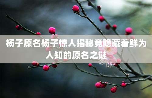 杨子原名杨子惊人揭秘竟隐藏着鲜为人知的原名之谜