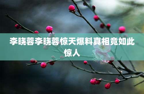 李晓蓉李晓蓉惊天爆料真相竟如此惊人