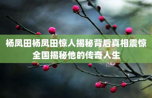 杨凤田杨凤田惊人揭秘背后真相震惊全国揭秘他的传奇人生