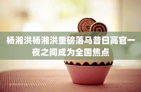 杨湘洪杨湘洪重磅落马昔日高官一夜之间成为全国焦点