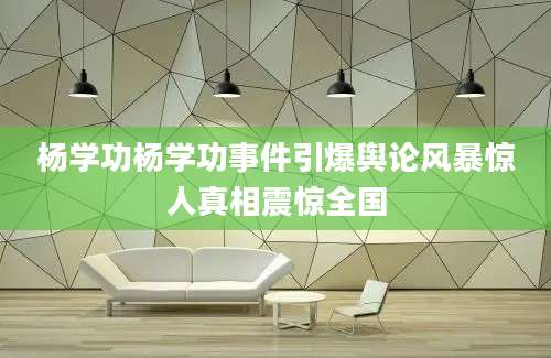 杨学功杨学功事件引爆舆论风暴惊人真相震惊全国