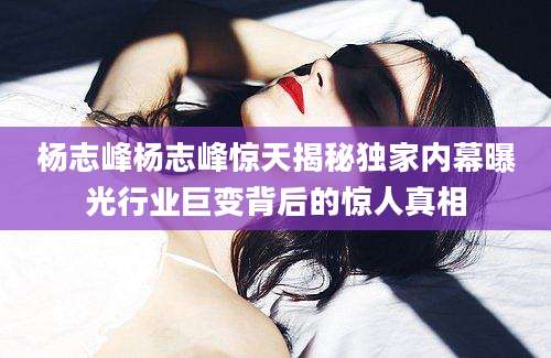 杨志峰杨志峰惊天揭秘独家内幕曝光行业巨变背后的惊人真相