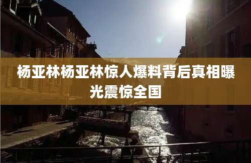 杨亚林杨亚林惊人爆料背后真相曝光震惊全国